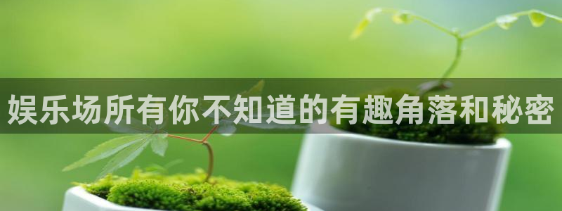 bb电子官网登录：娱乐场所有你不知道的有趣角落和秘密