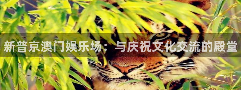 bb电子哪个平台好：新普京澳门娱乐场：与庆祝文化交流的殿堂